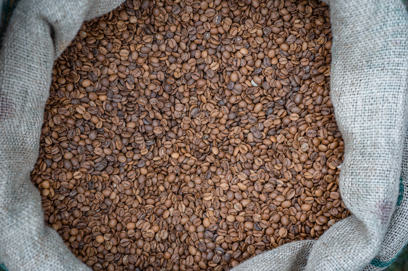Coffee beans in a natural burlap sack