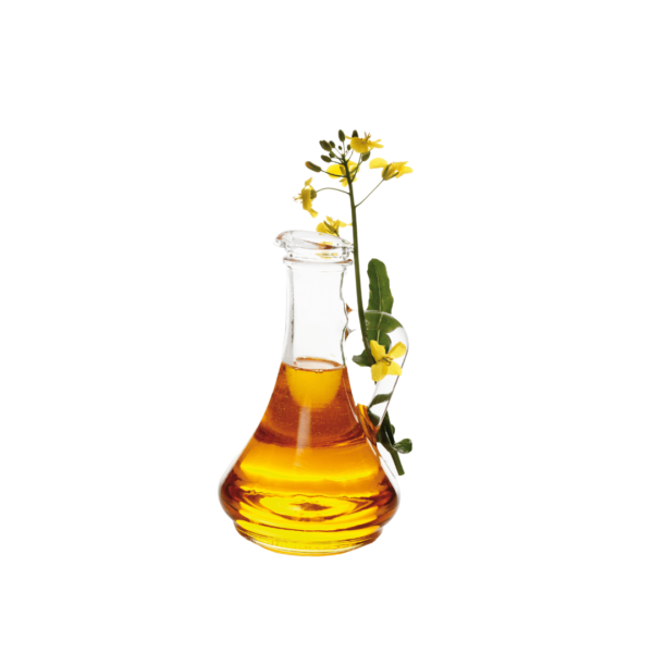 Canola Oil