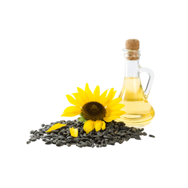 Sunflower Oil