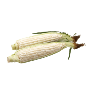 White Corn